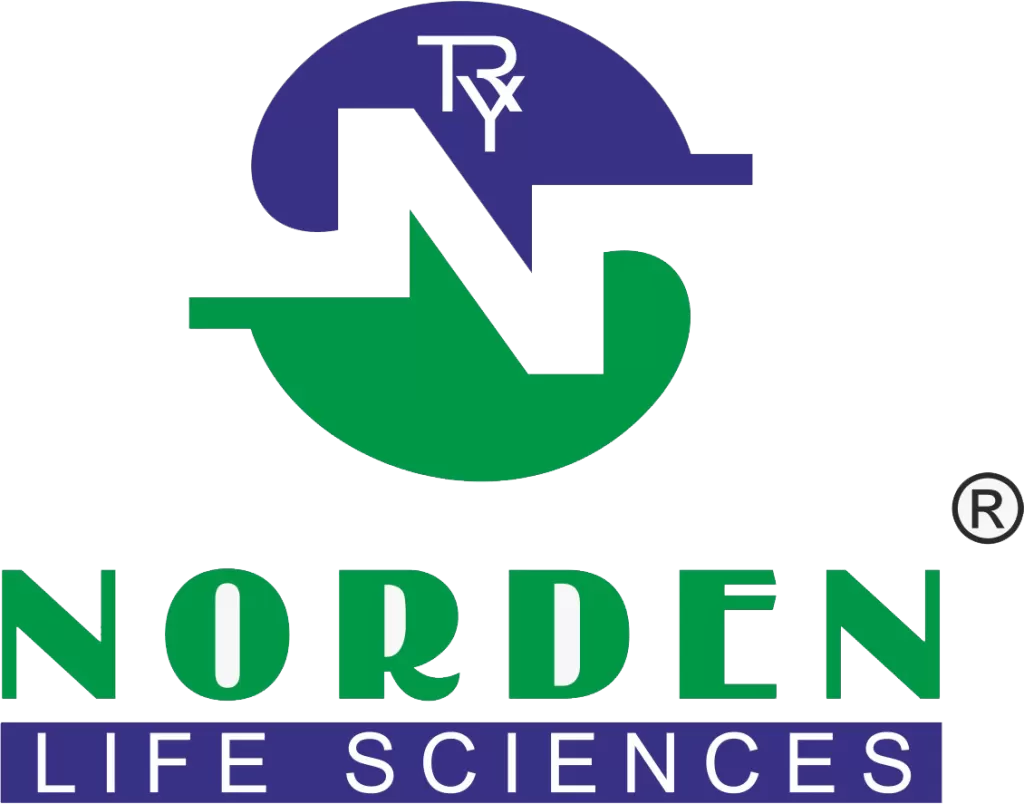 Logo of Norden Life Sciences, an Ahmedabad-based WHO-GMP certified pharmaceutical company in India offering PCD Pharma Franchise, featuring a clean modern green and blue color scheme with the company name ‘NORDEN LIFE SCIENCES’ in bold text on a black background, representing innovation and trust in the life sciences industry.