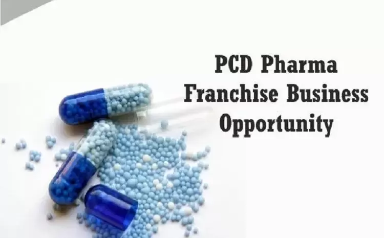  Understanding Diversity: Various Types of PCD Pharma Distributors