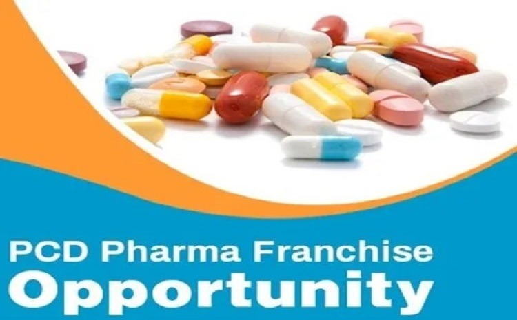  Unlocking Success: How to Choose the Right Products for Your PCD Pharma Franchise
