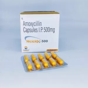 Amoxycillin 500mg